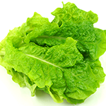 招福菜（サンチュ）