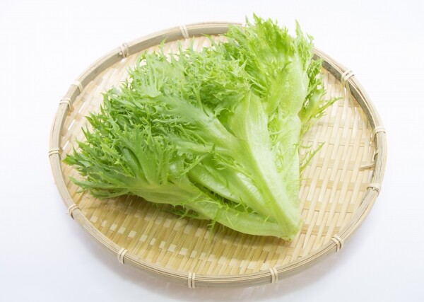 フリルレタス