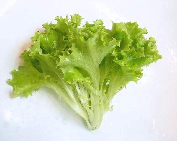リーフレタス